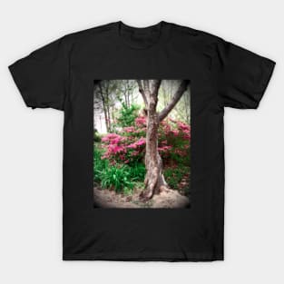 Mystic Forest T-Shirt